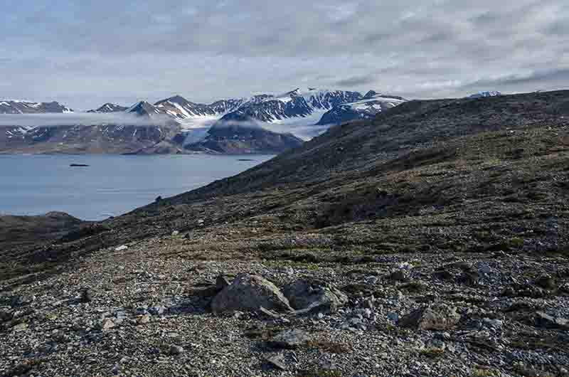 129 - Noruega - islas Svalbard - isla de Spitsbergen - fiordo Liefdefjord - Andoyane